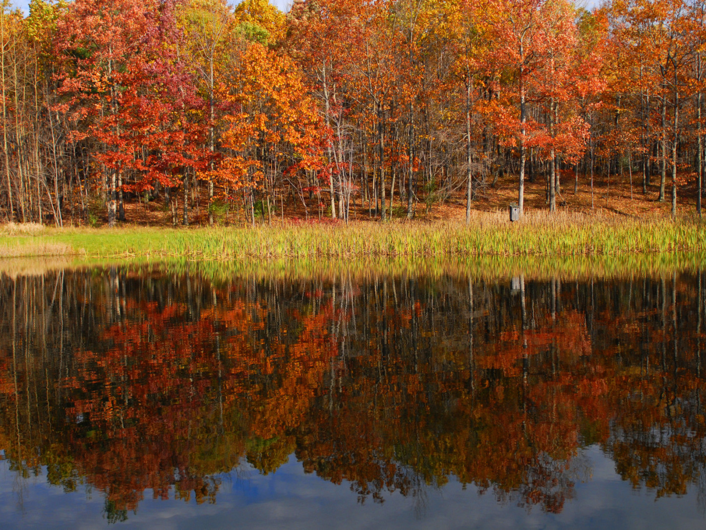 Steege Hill Nature Preserve – Go Finger Lakes