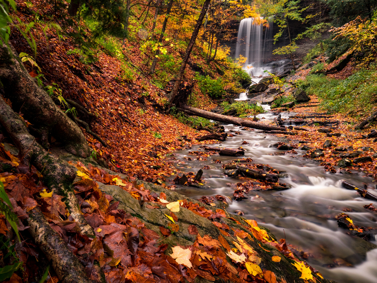 Looking up a creek at a waterfall in autumn