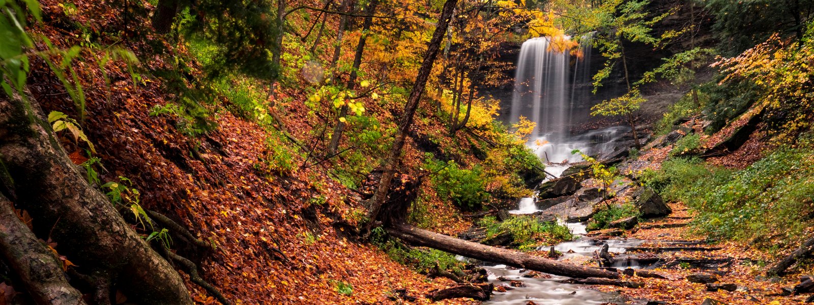 Tinker Falls Trail Map Labrador Hollow Unique Area – Go Finger Lakes