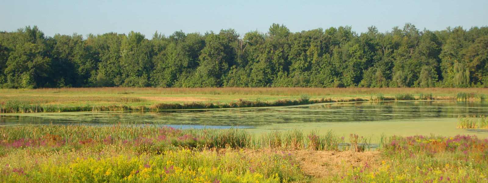 Montezuma Audubon Center – Go Finger Lakes