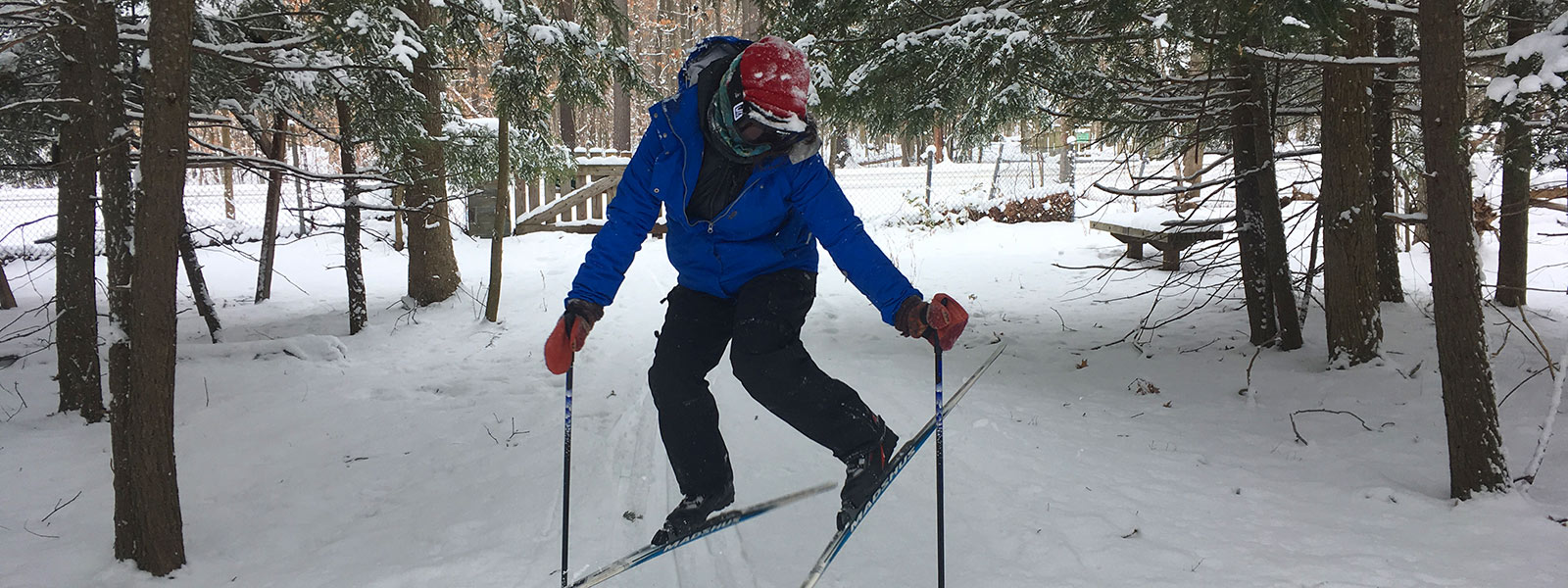 Top 8 Cross Country Ski Spots In The Finger Lakes Region – Go Finger Lakes